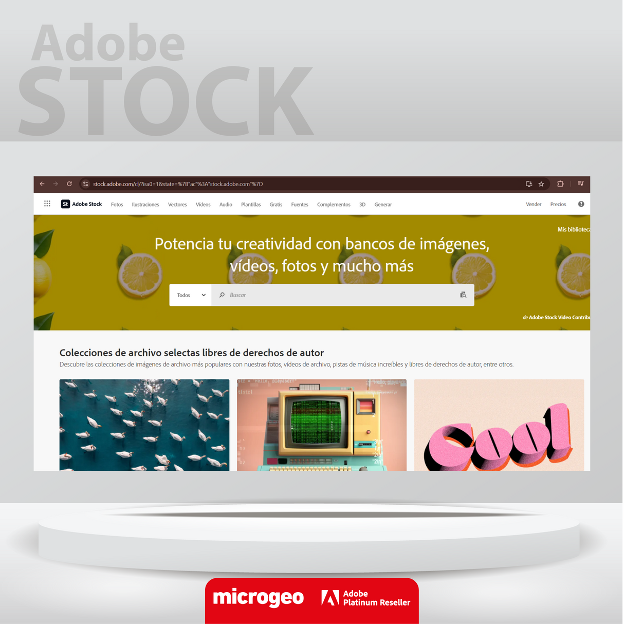 Adobe Stock  for teams (Small)  Suscripción Anual 1 Usuario